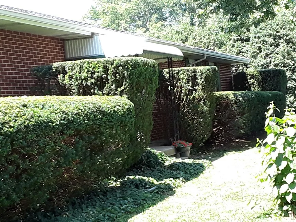 Professional lawn care service in Dayton, OH by Arenas Landscaping& Construction LLC