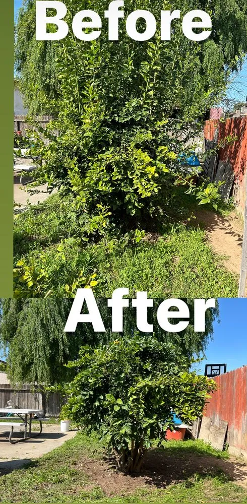 Expert garden landscaping in Firebaugh, CA by Arenas Lawn Care