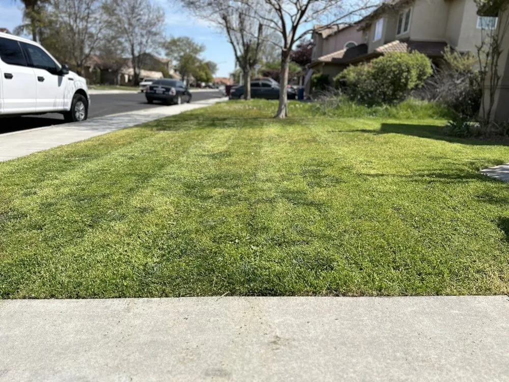 Top-rated landscape installation for outdoor upgrades in Firebaugh, CA by Arenas Lawn Care