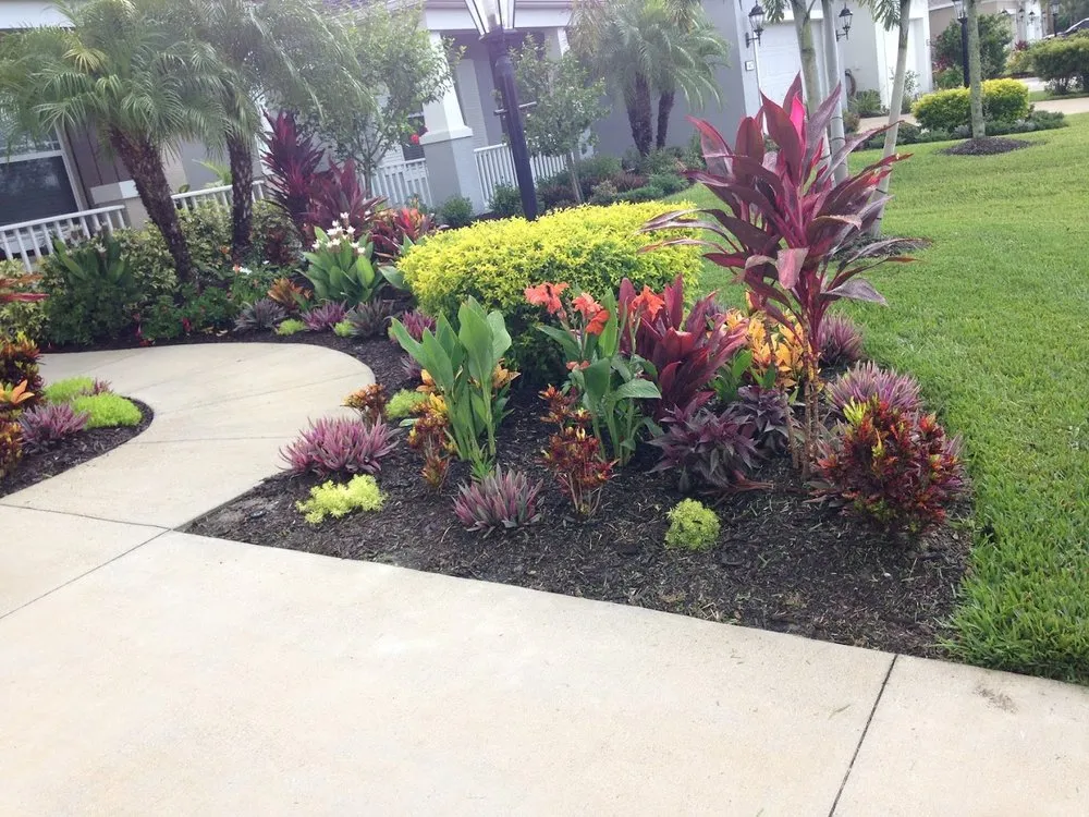 Professional landscape installation experts serving Rubonia, FL - Arenas Lawn Care