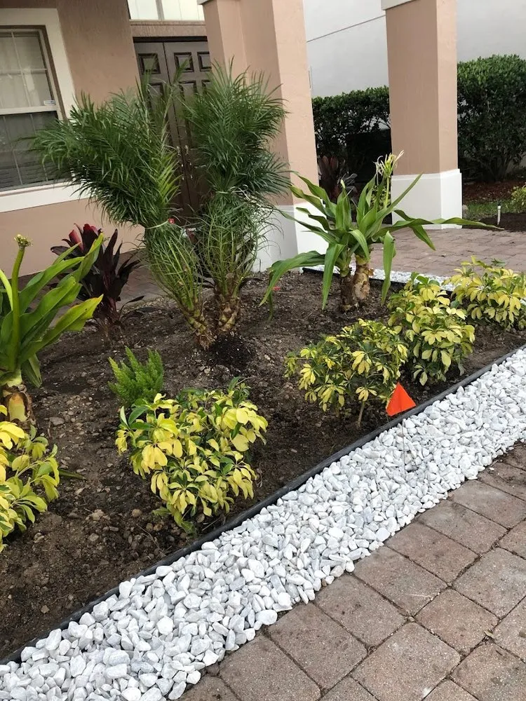 Reliable lawn mowing service for year-round maintenance across Rubonia, FL - Arenas Lawn Care