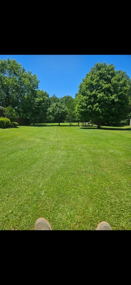 Top-rated lawn care service in Saltillo, MS by Arendale's Lawn Care