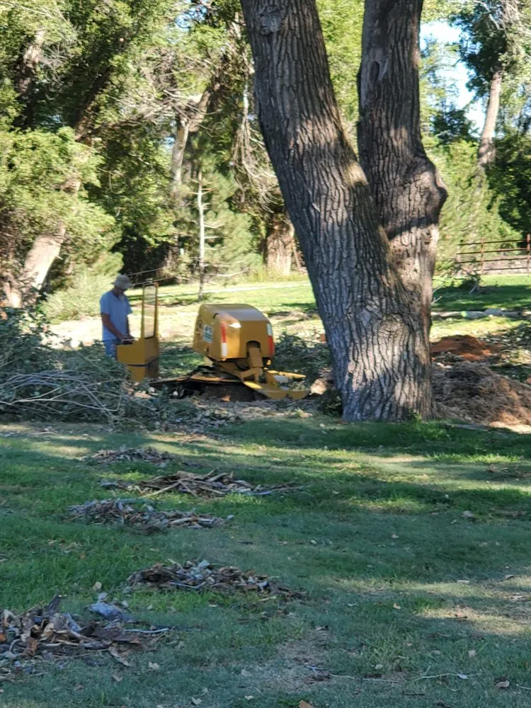 Custom residential landscaping experts serving Kinsley, KS - Arensman Services