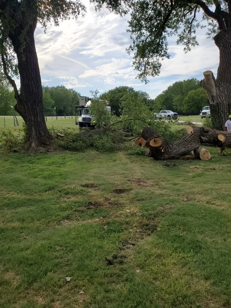 Expert landscape installation experts serving Kinsley, KS - Arensman Services