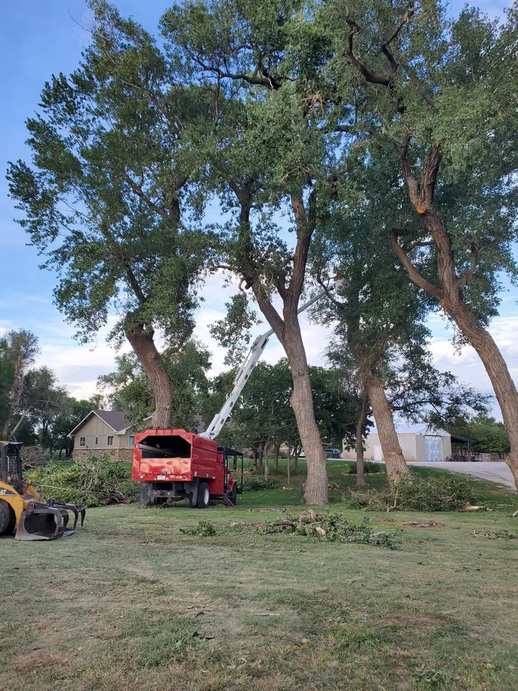 Expert landscape design for year-round maintenance in Kinsley, KS by Arensman Services