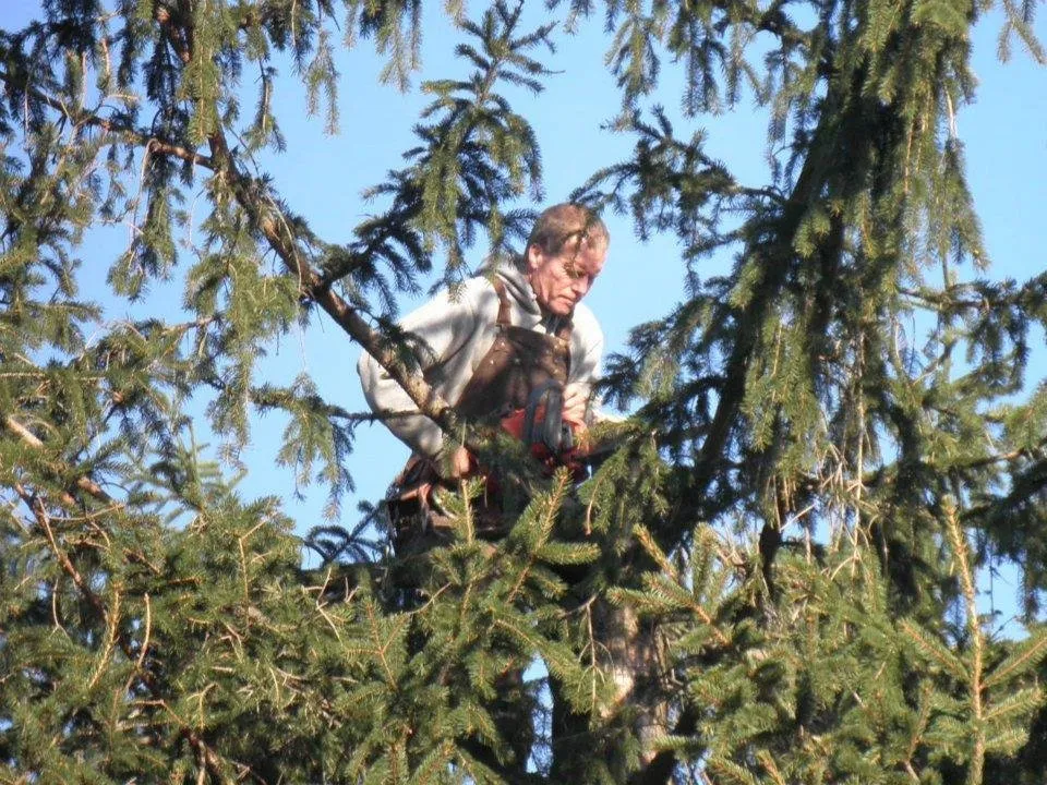 Custom landscaping services experts serving Fairfield, PA - Arentz General Services