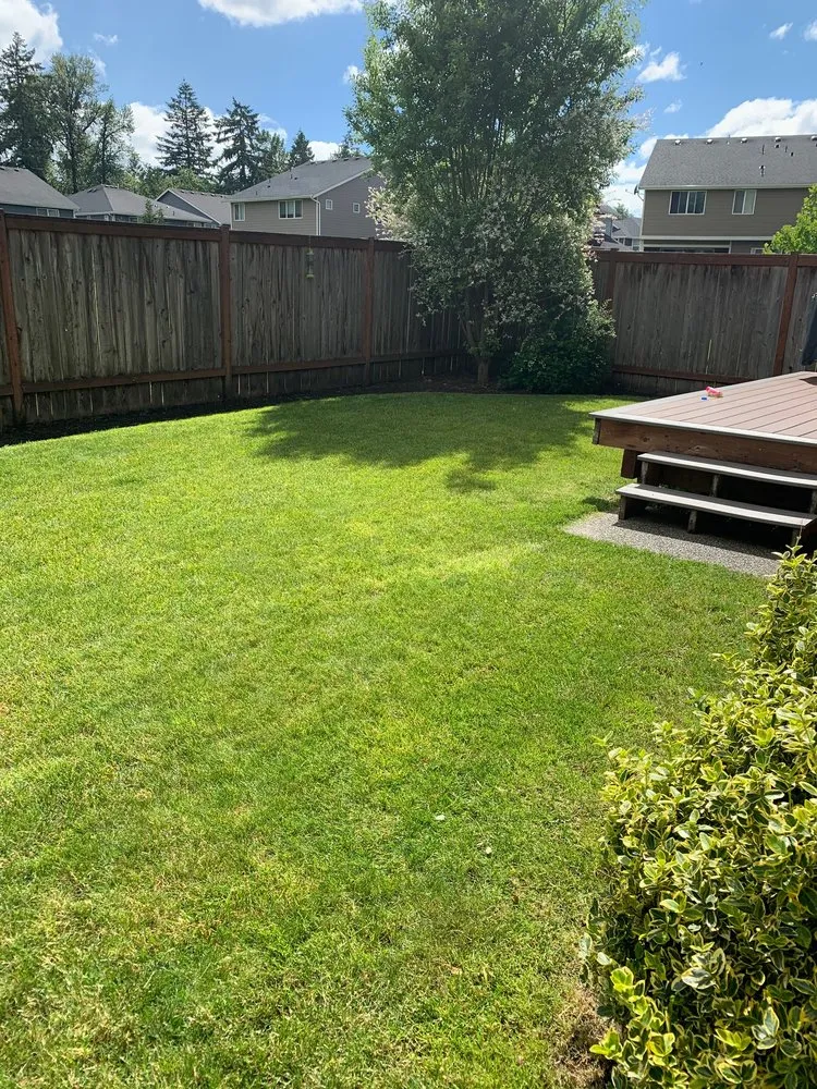 Professional yard cleanup service in Tacoma, WA by Arete Lawn Care