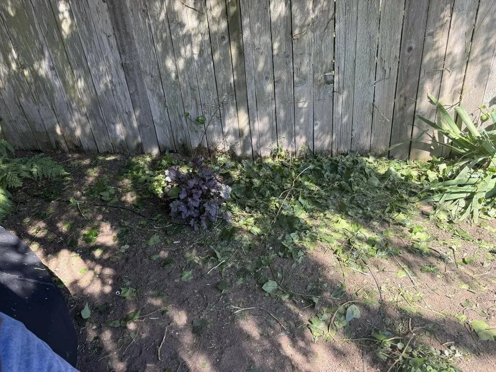 Professional residential landscaping in Tacoma, WA by Arete Lawn Care