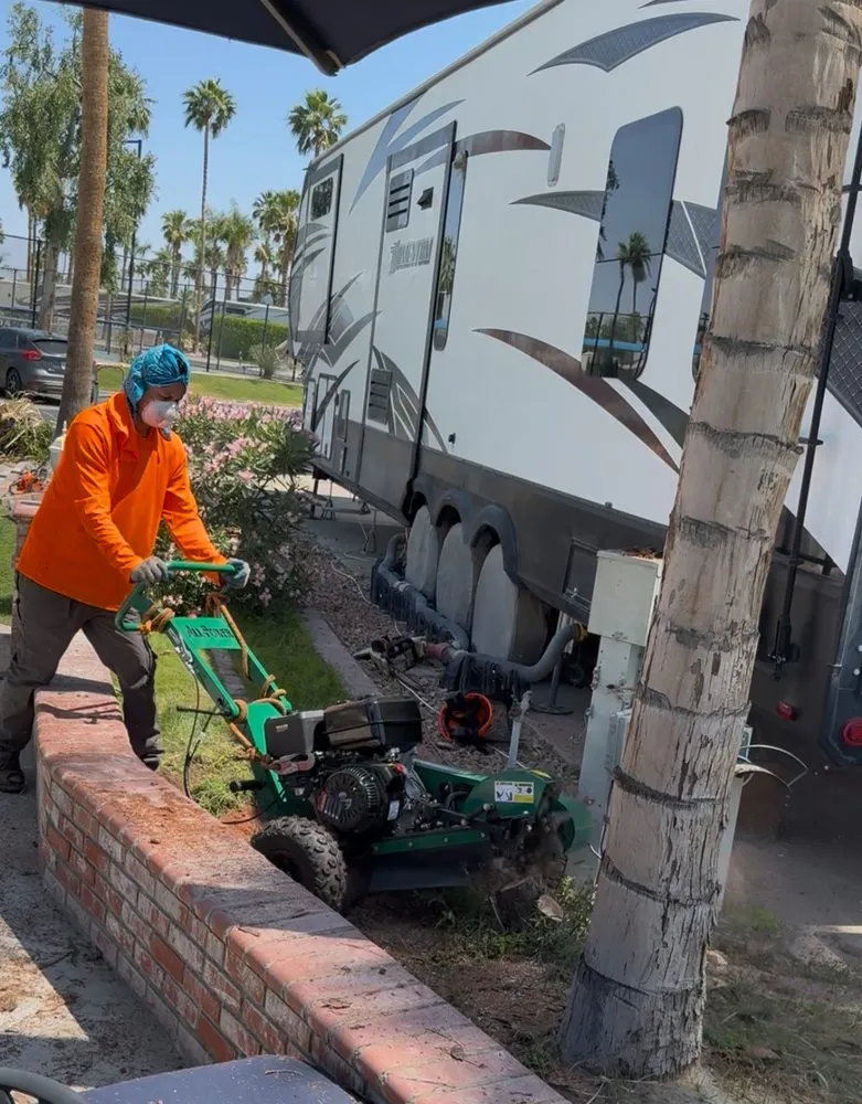 Professional landscape installation experts serving Fontana, CA - Arevalo Tree Service and Landscape