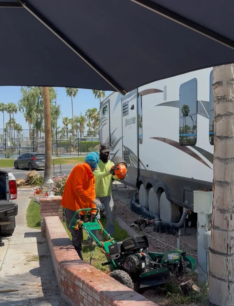 Affordable yard cleanup service in Fontana, CA by Arevalo Tree Service and Landscape