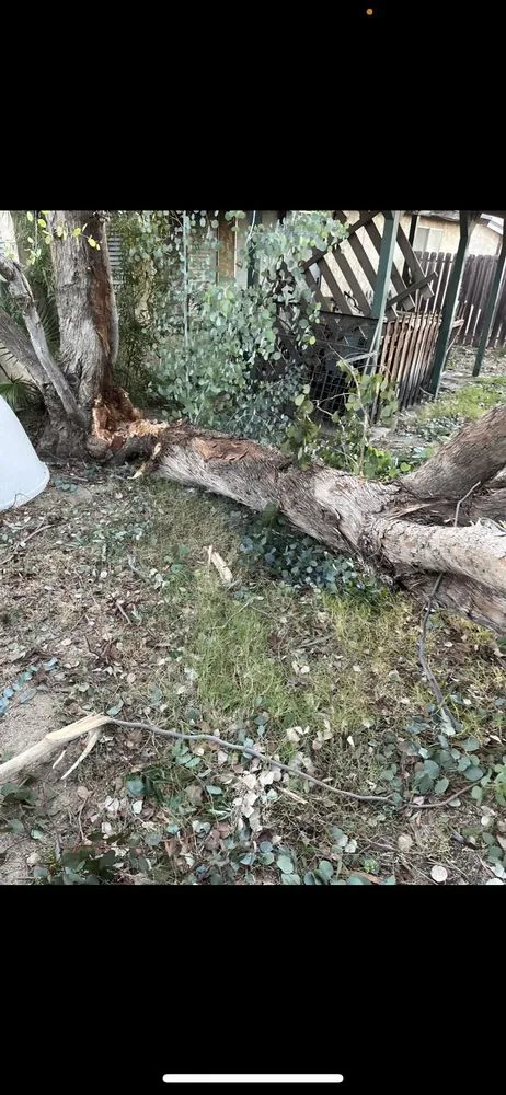 Trusted residential landscaping in Fontana, CA - Arevalo Tree Service and Landscape