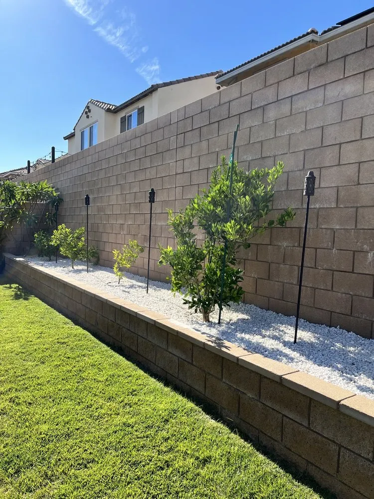 Top-rated yard maintenance in Fontana, CA - Arevalo Tree Service and Landscape