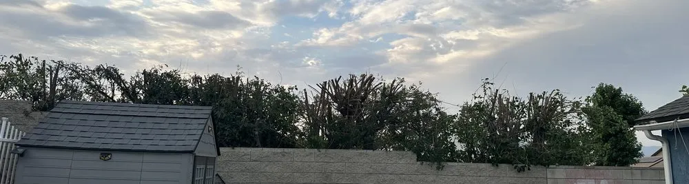 Custom outdoor landscaping for residential properties across Fontana, CA - Arevalo Tree Service and Landscape