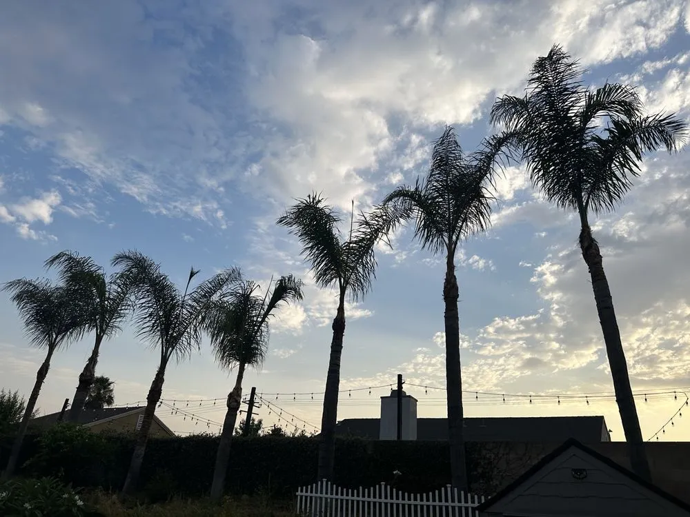 Professional landscaping services for residential properties across Fontana, CA - Arevalo Tree Service and Landscape