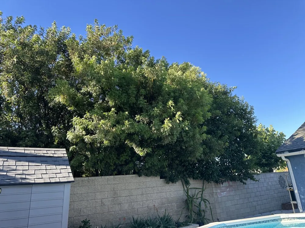 Affordable landscaping services in Fontana, CA by Arevalo Tree Service and Landscape