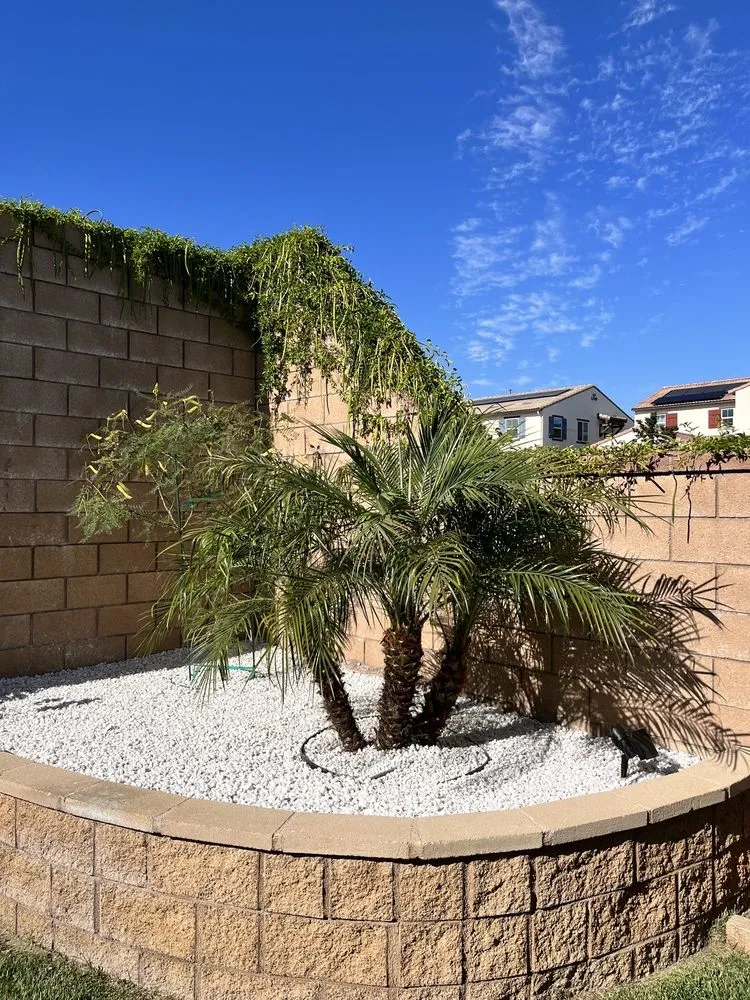 Professional landscaping services experts serving Fontana, CA - Arevalo Tree Service and Landscape