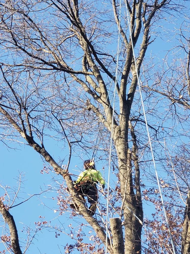 Reliable outdoor landscaping experts serving Perth Amboy, NJ - Arevalo tree services & landscaping