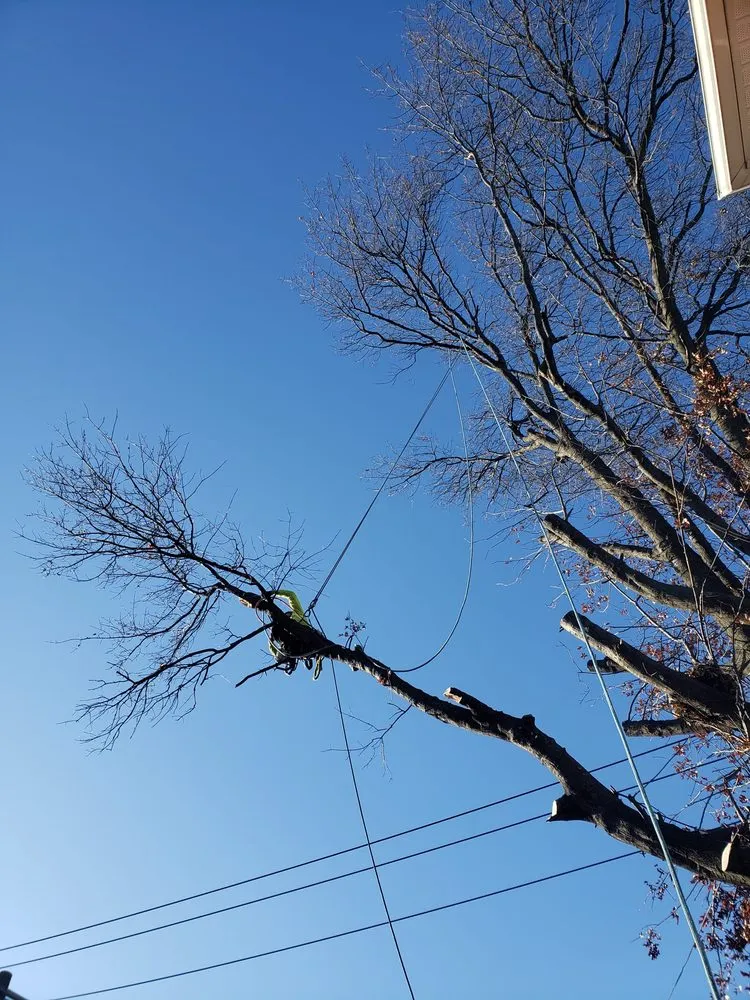 Local landscape design for residential properties across Perth Amboy, NJ - Arevalo tree services & landscaping