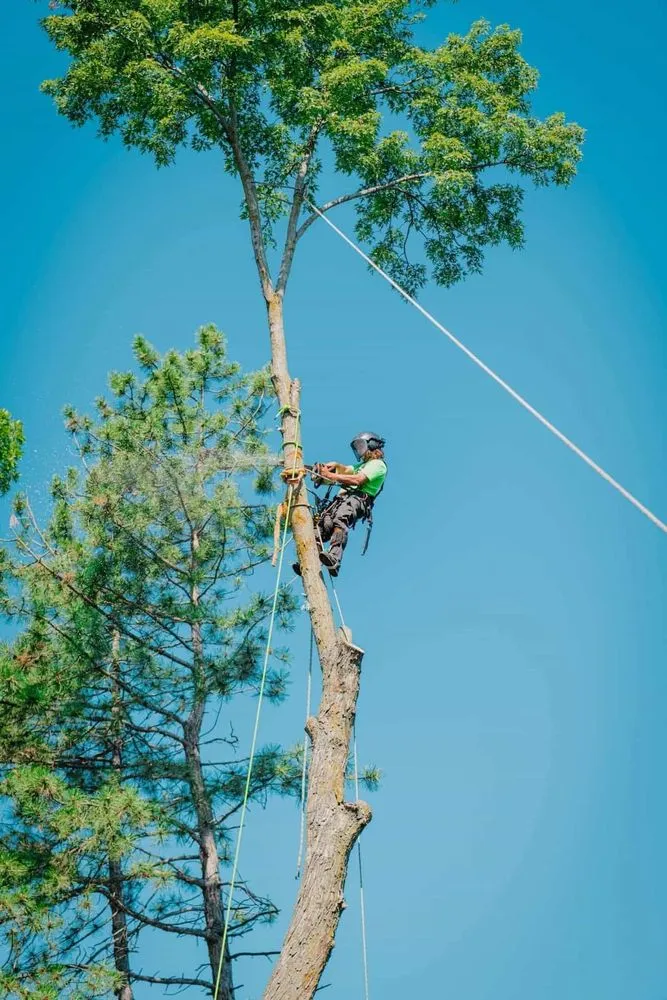 Trusted garden landscaping in Perth Amboy, NJ by Arevalo tree services & landscaping