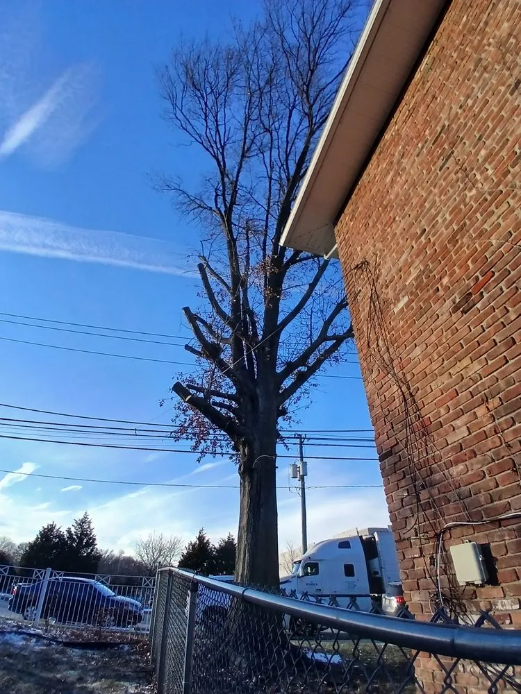 Custom garden landscaping in Perth Amboy, NJ by Arevalo tree services & landscaping