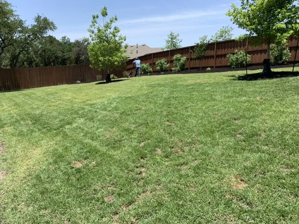 Top-rated landscape design in San Antonio, TX - Arevalo’s landscape