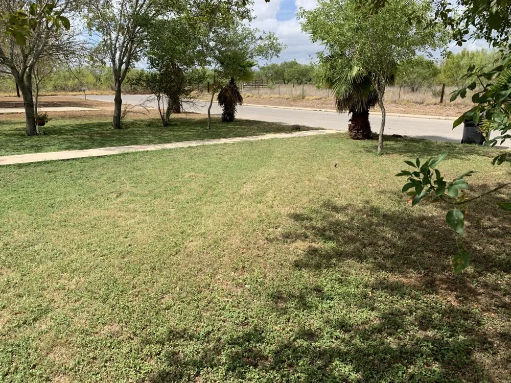 Custom landscape installation in San Antonio, TX - Arevalo’s landscape