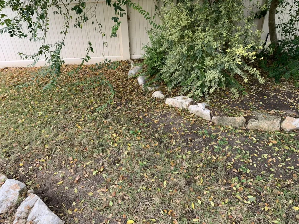 Reliable yard cleanup service for homes across San Antonio, TX - Arevalo’s landscape