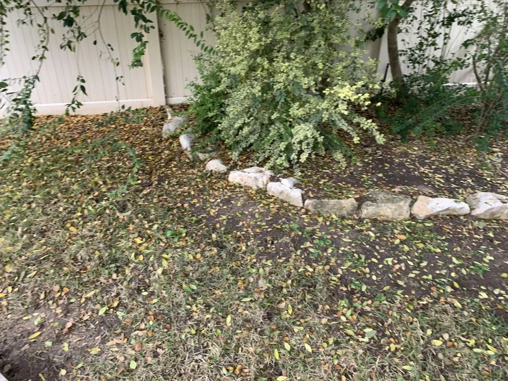 Expert landscape installation for year-round maintenance across San Antonio, TX - Arevalo’s landscape