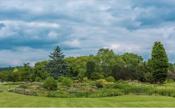 Arevalo’s landscape Logo