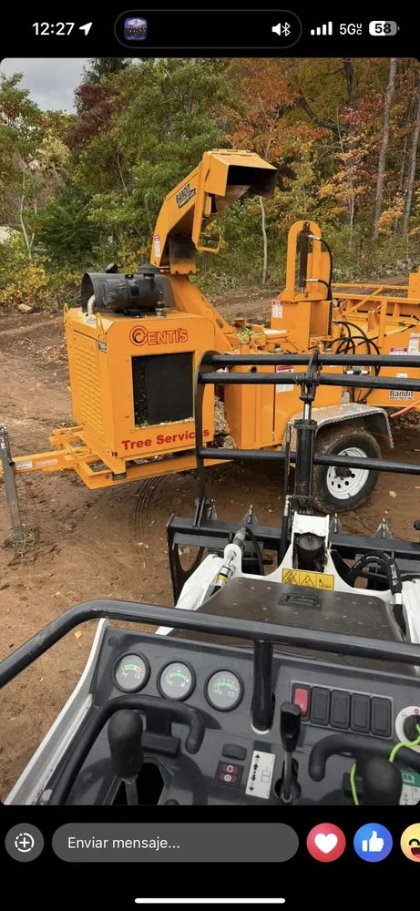 Professional garden landscaping for outdoor upgrades across East Haven, CT - Arez Landscaping