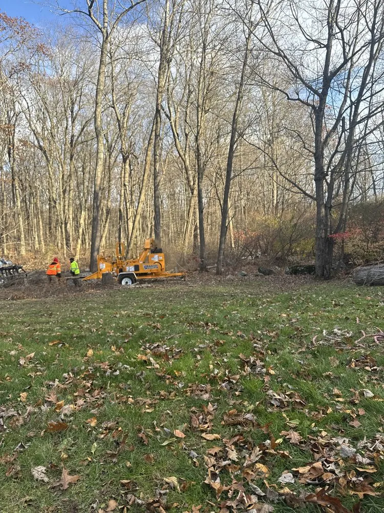 Local landscape design for beautiful yards across East Haven, CT - Arez Landscaping