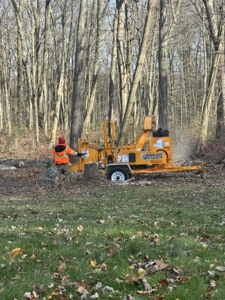 Local landscaping services for year-round maintenance in East Haven, CT by Arez Landscaping
