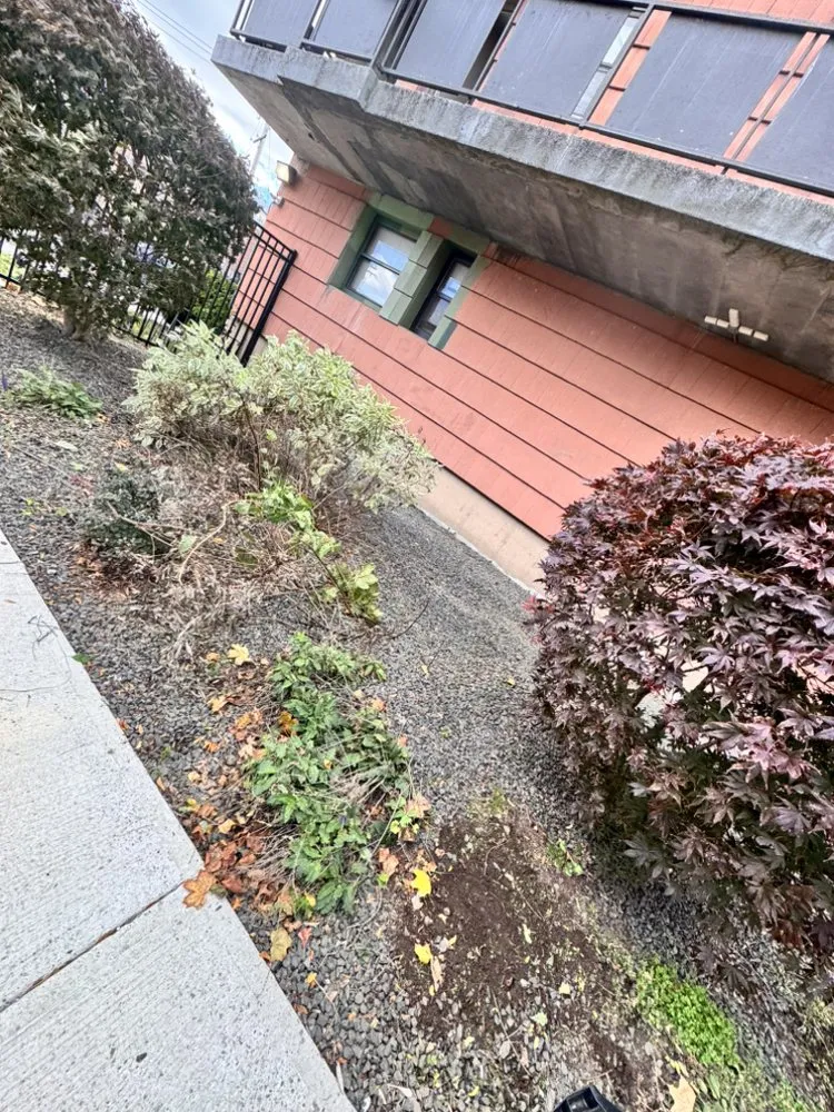 Top-rated landscape design for year-round maintenance across East Haven, CT - Arez Landscaping