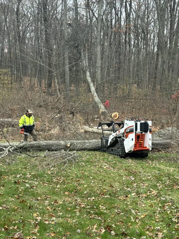 Expert yard cleanup service for homes in East Haven, CT by Arez Landscaping