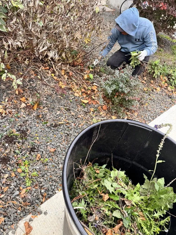 Expert landscaping services for beautiful yards in East Haven, CT by Arez Landscaping