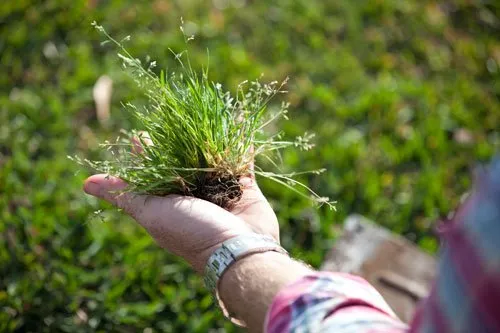 Professional outdoor landscaping experts serving Arlington, VA - ARG Construction