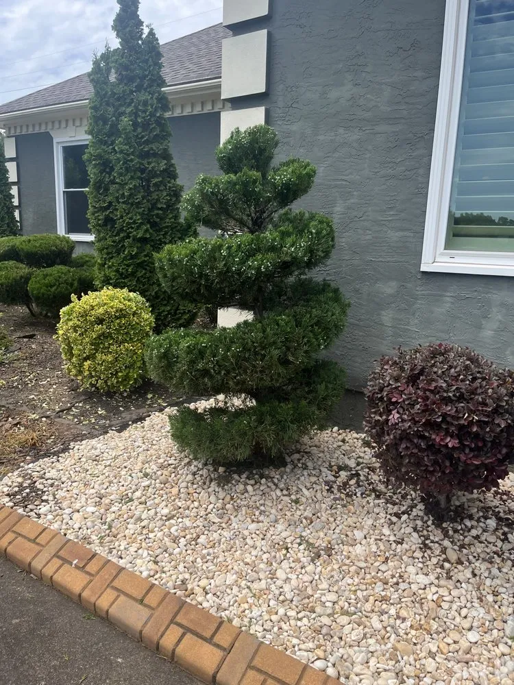 Expert yard cleanup service experts serving Rex, GA - ARG Landscaping