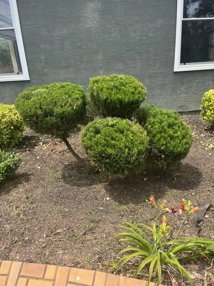 Affordable garden landscaping in Rex, GA - ARG Landscaping