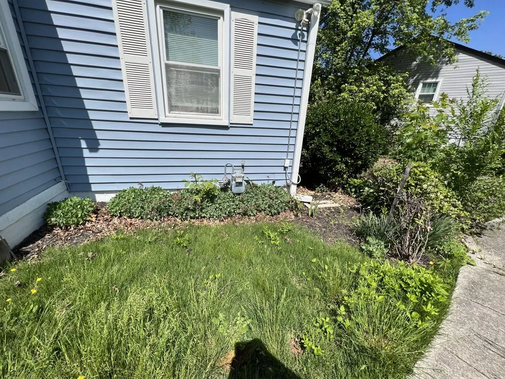 Reliable landscape design experts serving Silver Spring, MD - Argarden Landscaping Services