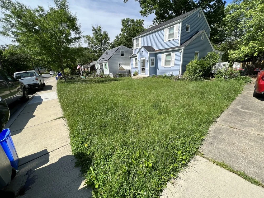 Custom lawn mowing service with custom design across Silver Spring, MD - Argarden Landscaping Services