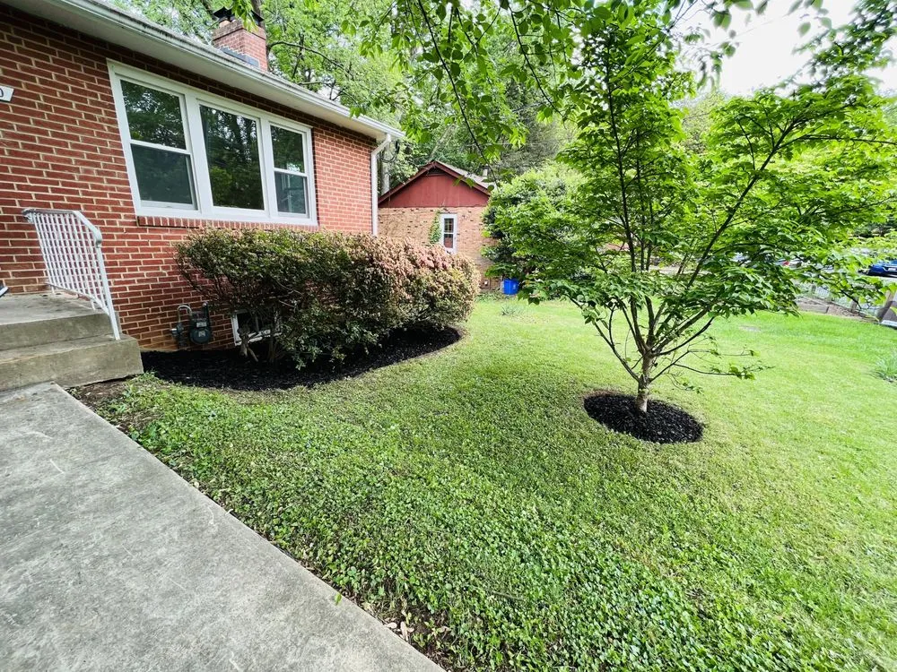 Expert landscape installation for year-round maintenance across Silver Spring, MD - Argarden Landscaping Services