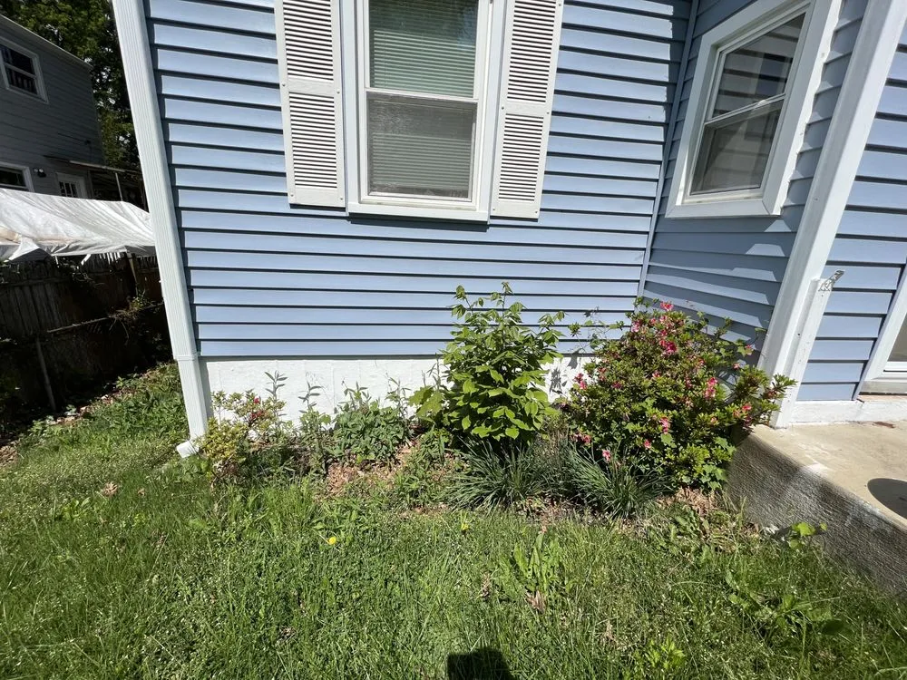 Reliable landscaping services experts serving Silver Spring, MD - Argarden Landscaping Services