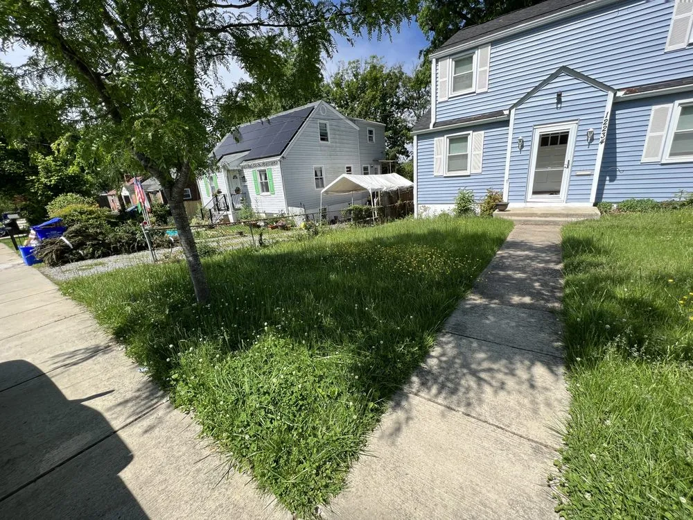 Trusted landscaping services for outdoor upgrades across Silver Spring, MD - Argarden Landscaping Services