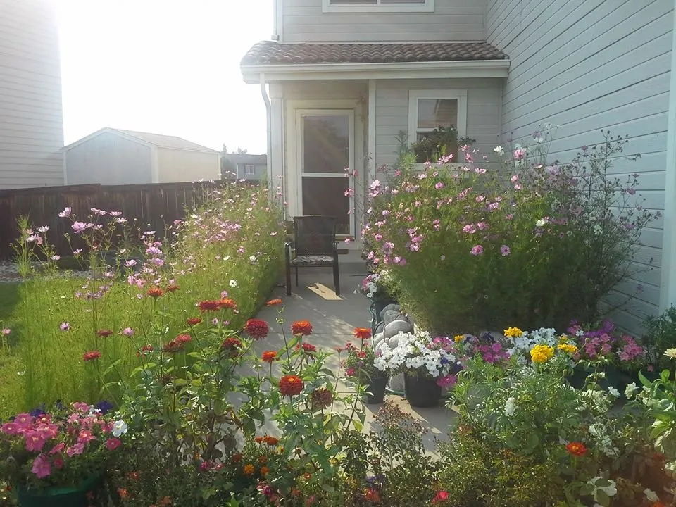 Affordable lawn mowing service experts serving Littleton, CO - Argos Landscaping Services