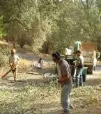 Trusted garden landscaping for outdoor upgrades in Sonora, CA by Argos Properties Property Care