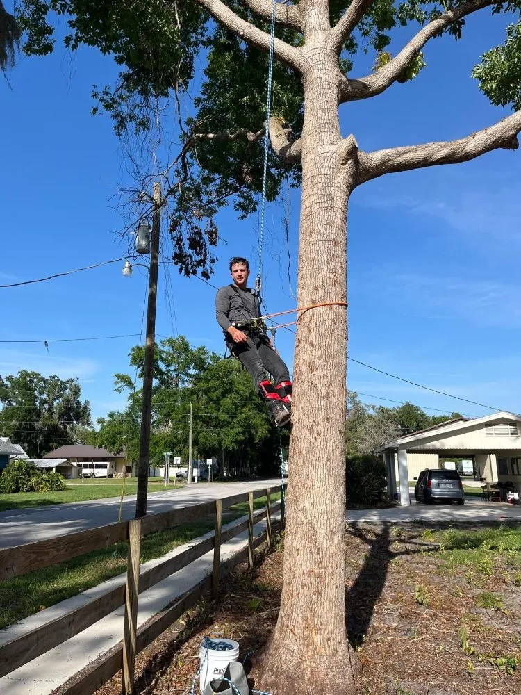 Affordable yard maintenance for homes in Bushnell, FL by Argoss Hands