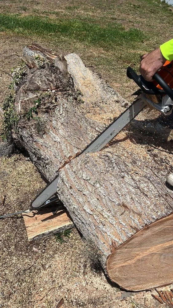 Custom residential landscaping in Bushnell, FL - Argoss Hands