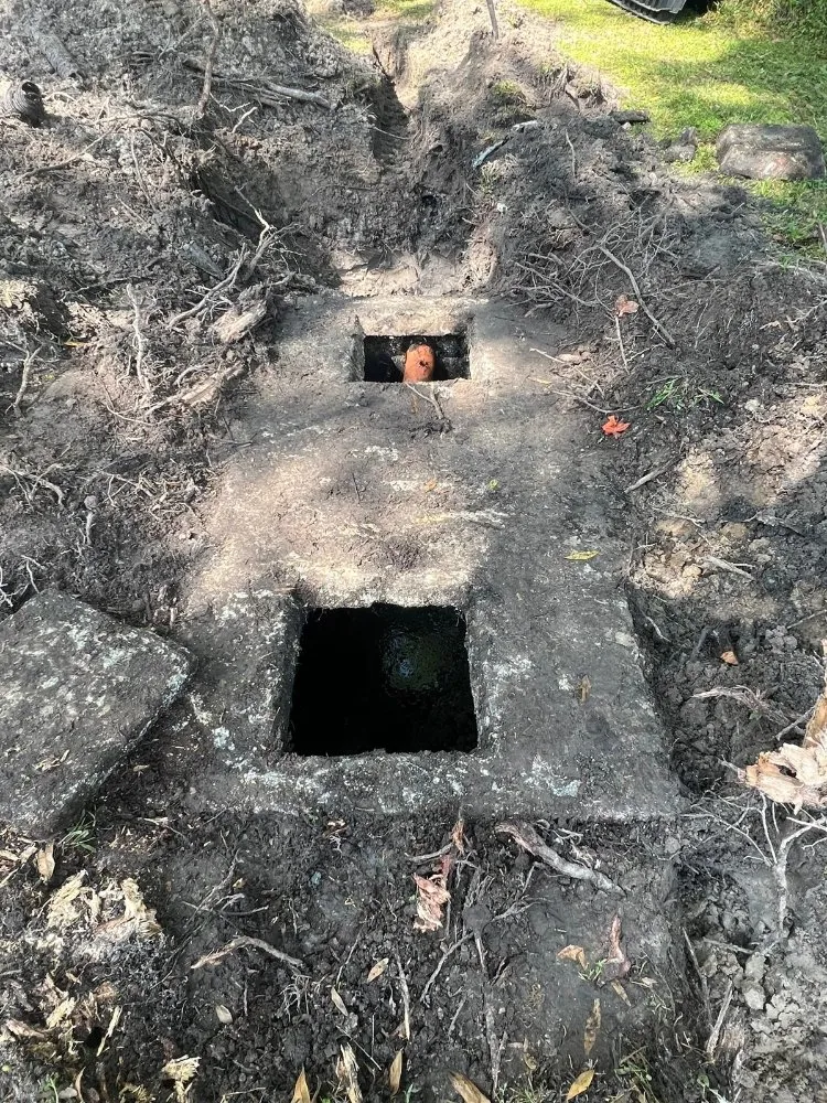 Professional yard maintenance in Bushnell, FL - Argoss Hands