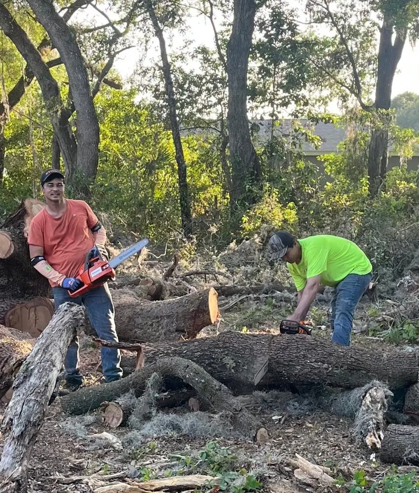 Affordable yard maintenance in Bushnell, FL - Argoss Hands