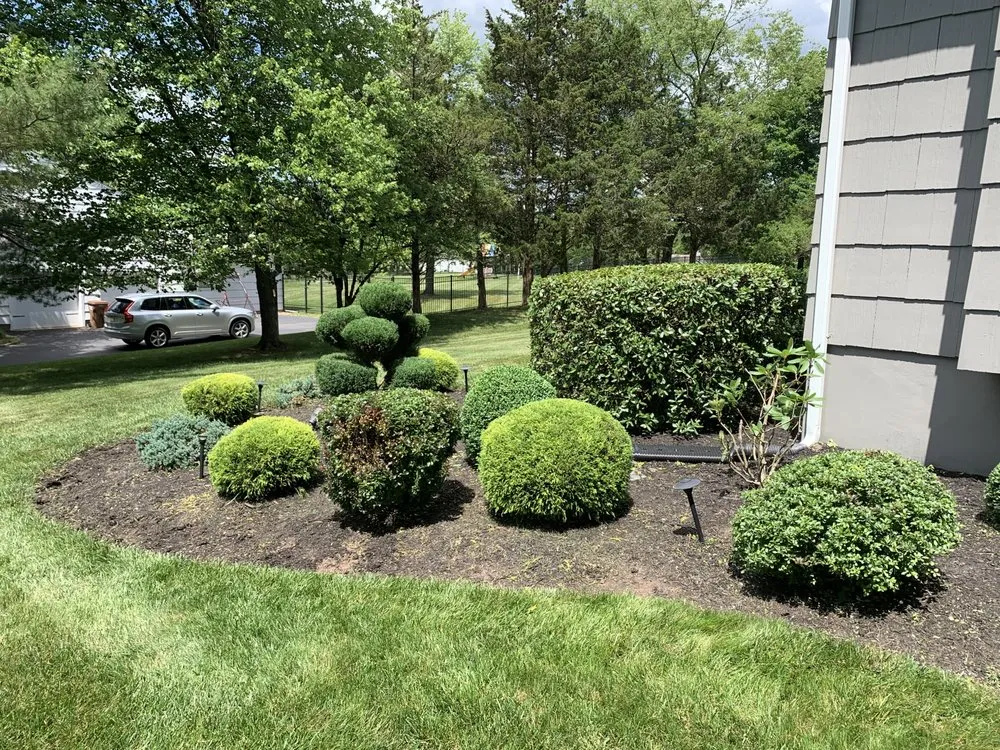 Trusted yard cleanup service for homes across Elizabeth, NJ - Argueta Landscape